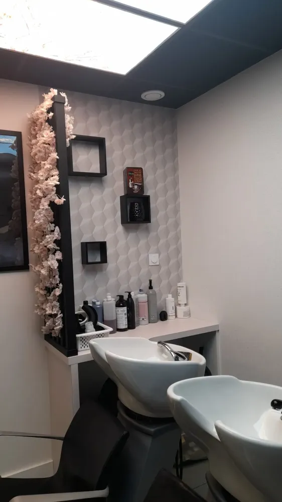 sallon de coiffure mixte